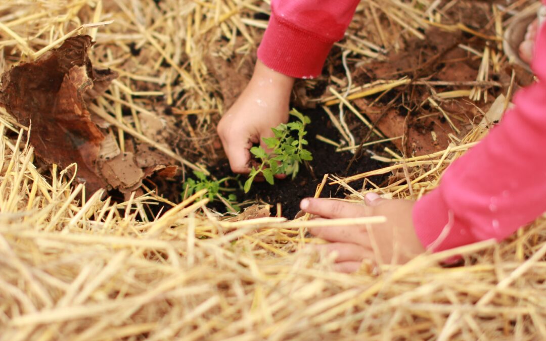 Good Deeds Get Citizenship