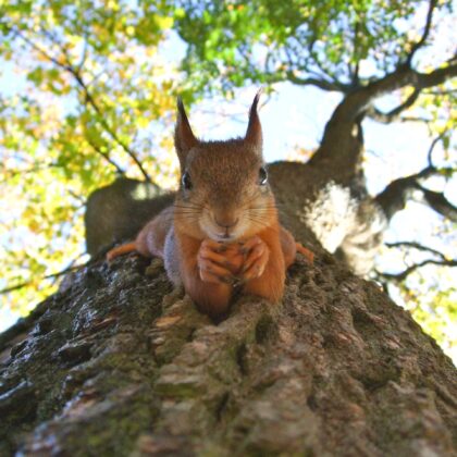 SEEDS Offers Grants to All of Wellbeing Economy Alliance’s (WEALL) Members