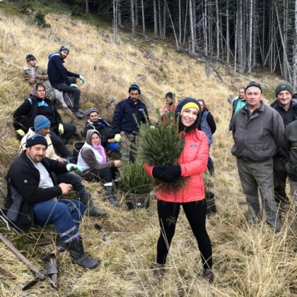 Money That Grows Trees