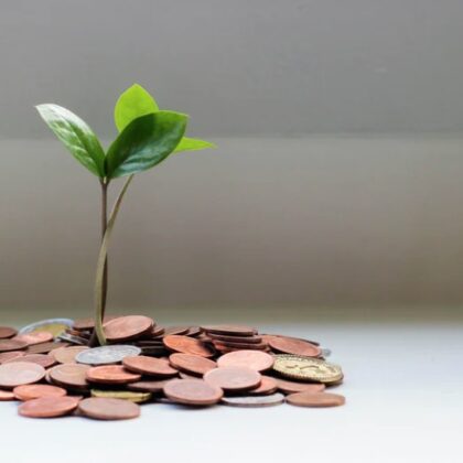 Making Sense of SEEDS