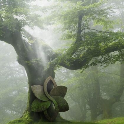 Why You Want to Accept Seeds