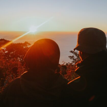 Meet SEEDizens 2 Continues the Magic