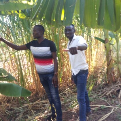 Letters from the Heart of SEEDS